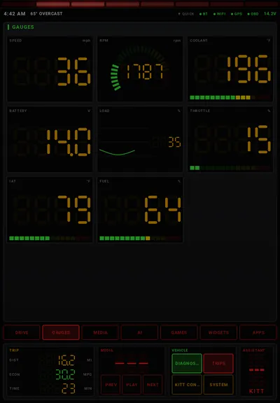 Gauges: A full wall of live OBD gauges.
